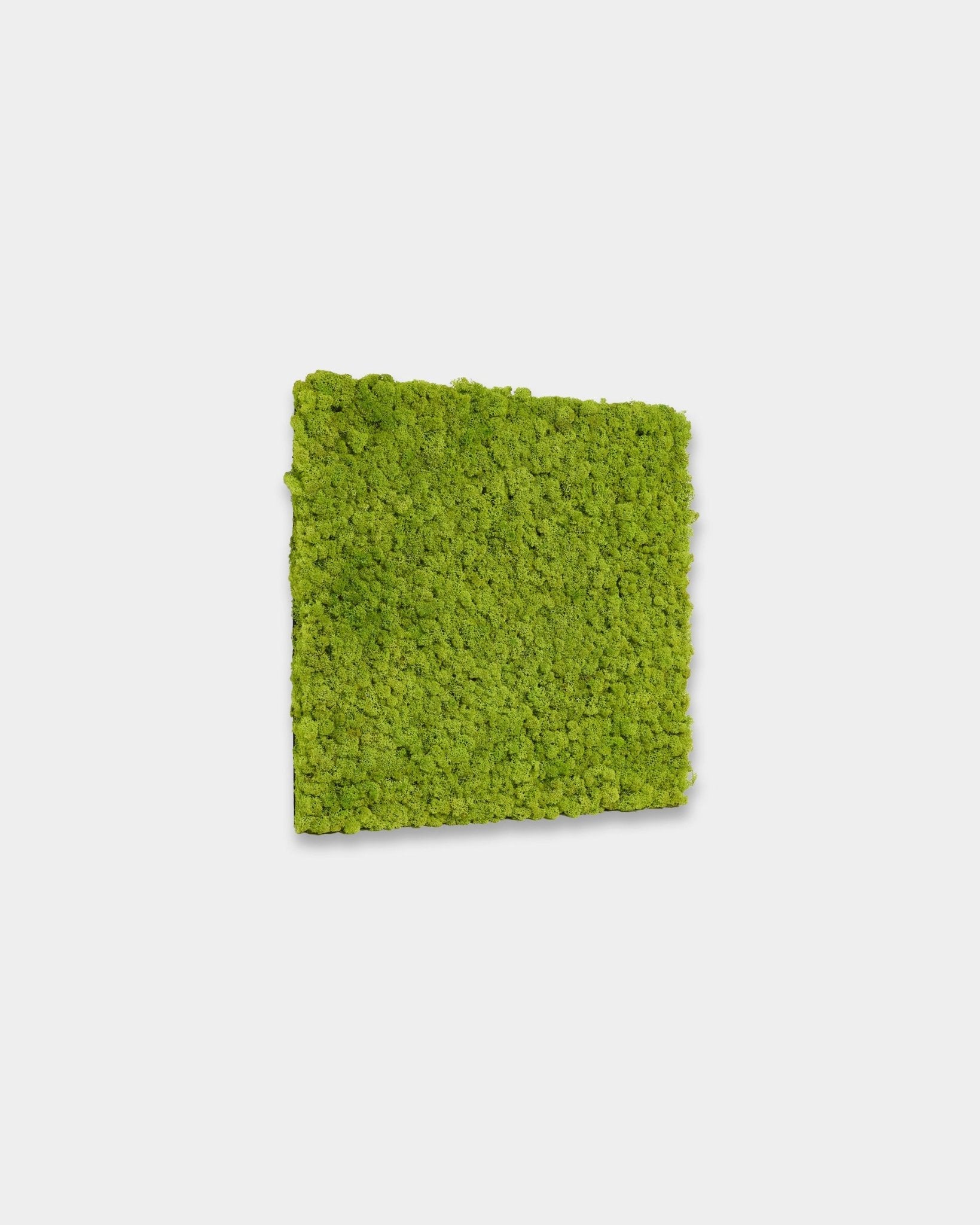 WoodUpp Akupixel Akustikpaneel in Apple Green, Größe 60 x 60 cm, zeigt lebendige grüne Lamellen vor einem schlichten weißen Hintergrund.