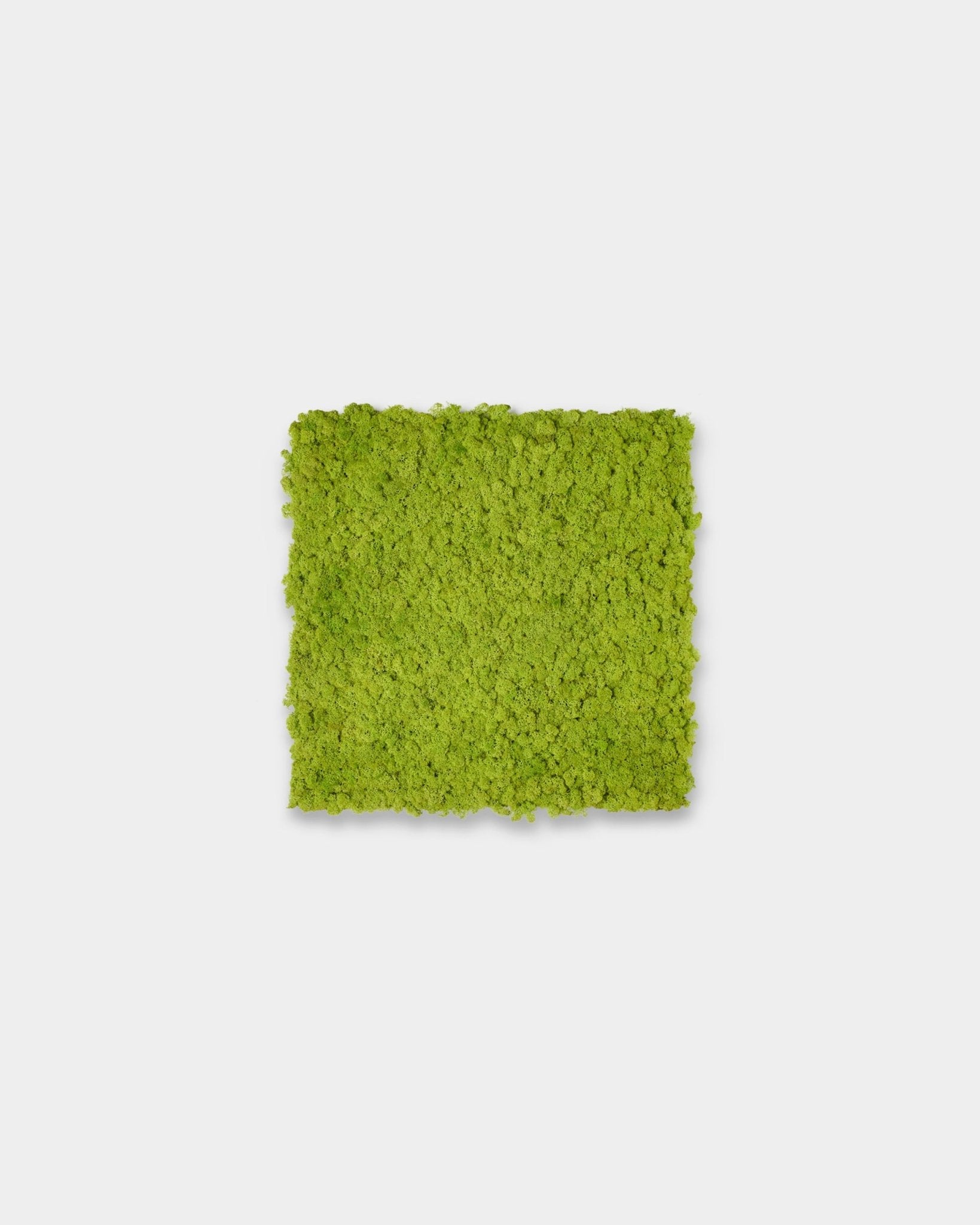 Akupixel Akustikpaneel in Apple Green, 60x60 cm, von WoodUpp als quadratischer Akzent vor einem schlichten hellgrauen Hintergrund präsentiert.