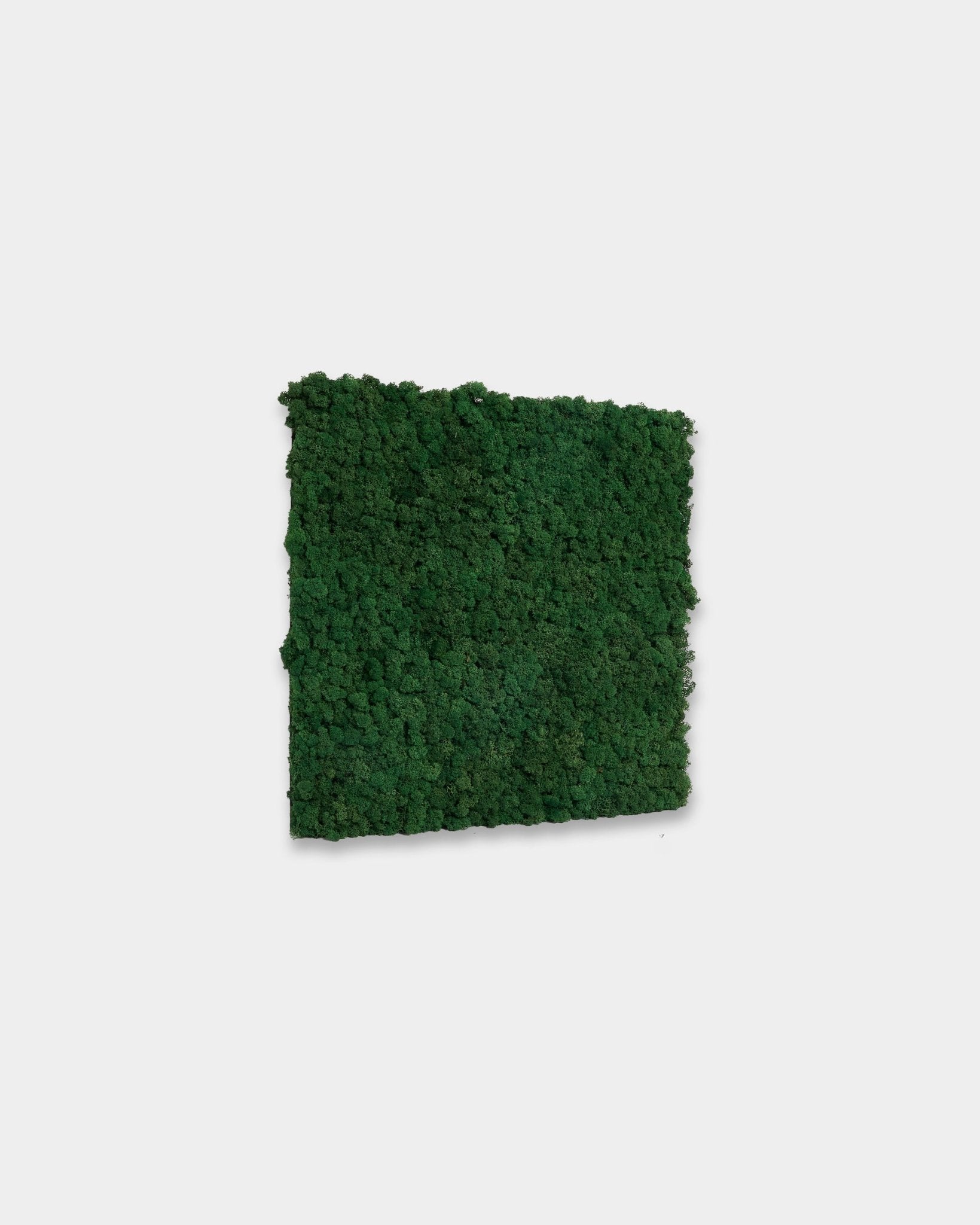 WoodUpp Akupixel Moss Green Akustikpaneel (60 x 60 cm) in einer lebendigen Farbe moss green, vor einem schlichten weißen Hintergrund dargestellt.