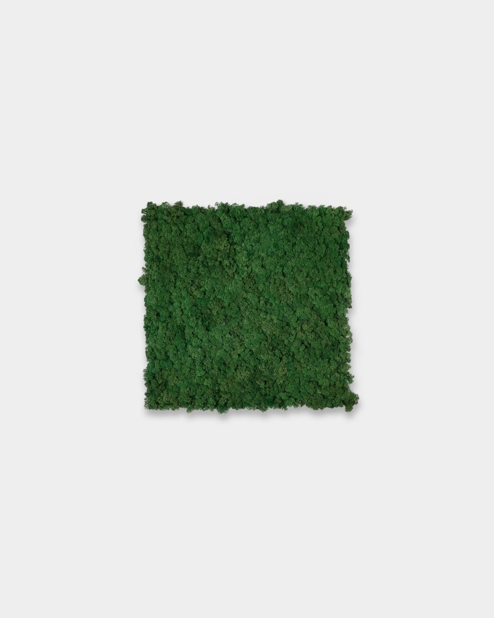 WoodUpp Akupixel Akustikpaneel in Moss Green (60x60 cm), mit einer strukturierten quadratischen Oberfläche vor einem schlichten weißen Hintergrund.