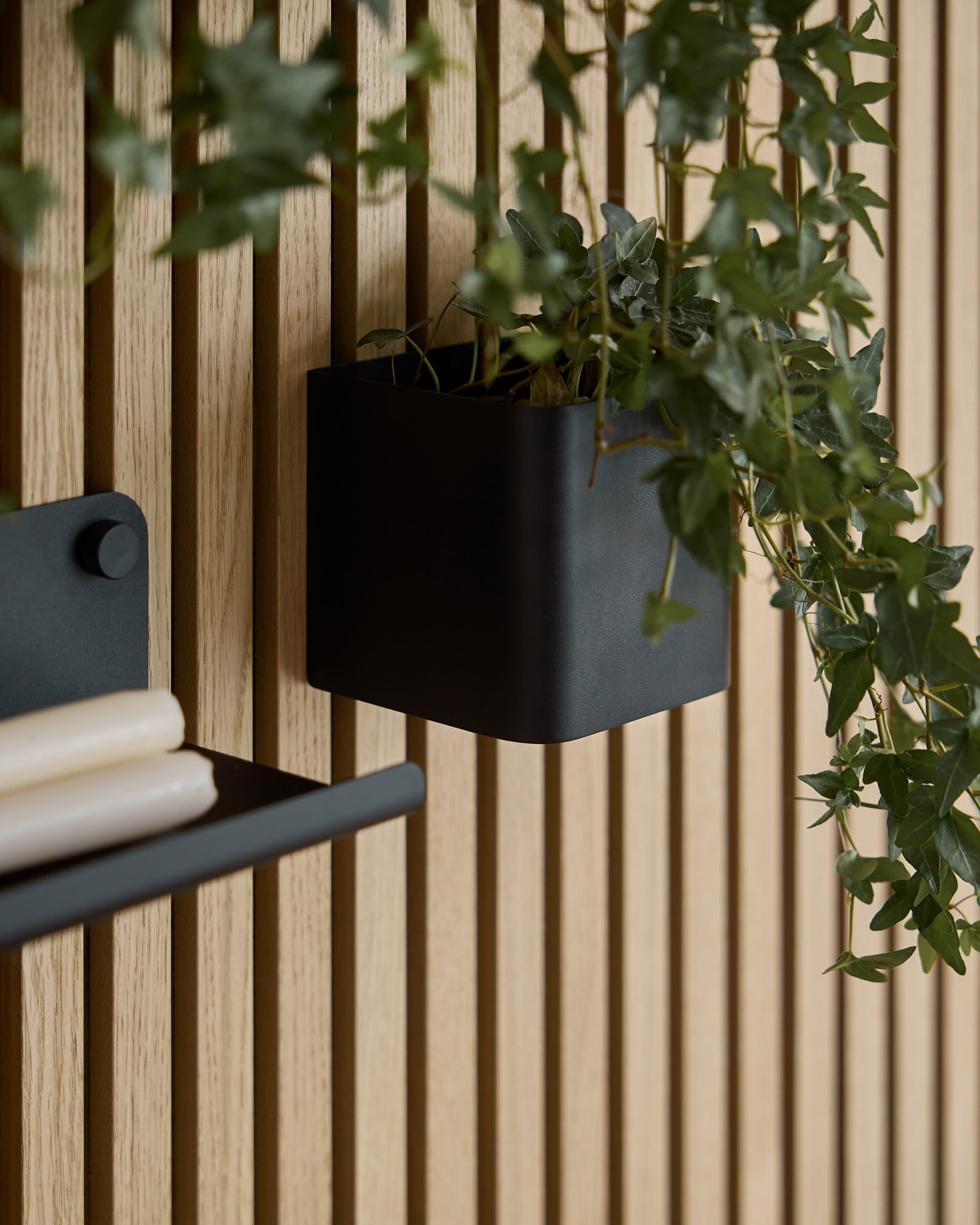 Eine black 11,9 cm WoodUpp Norr Plant Box mit grünem Efeu hängt an einer hellen Holz-Akupanel Akustikpaneel; ein Teil eines passenden Regals mit gerollten Papieren ist sichtbar.