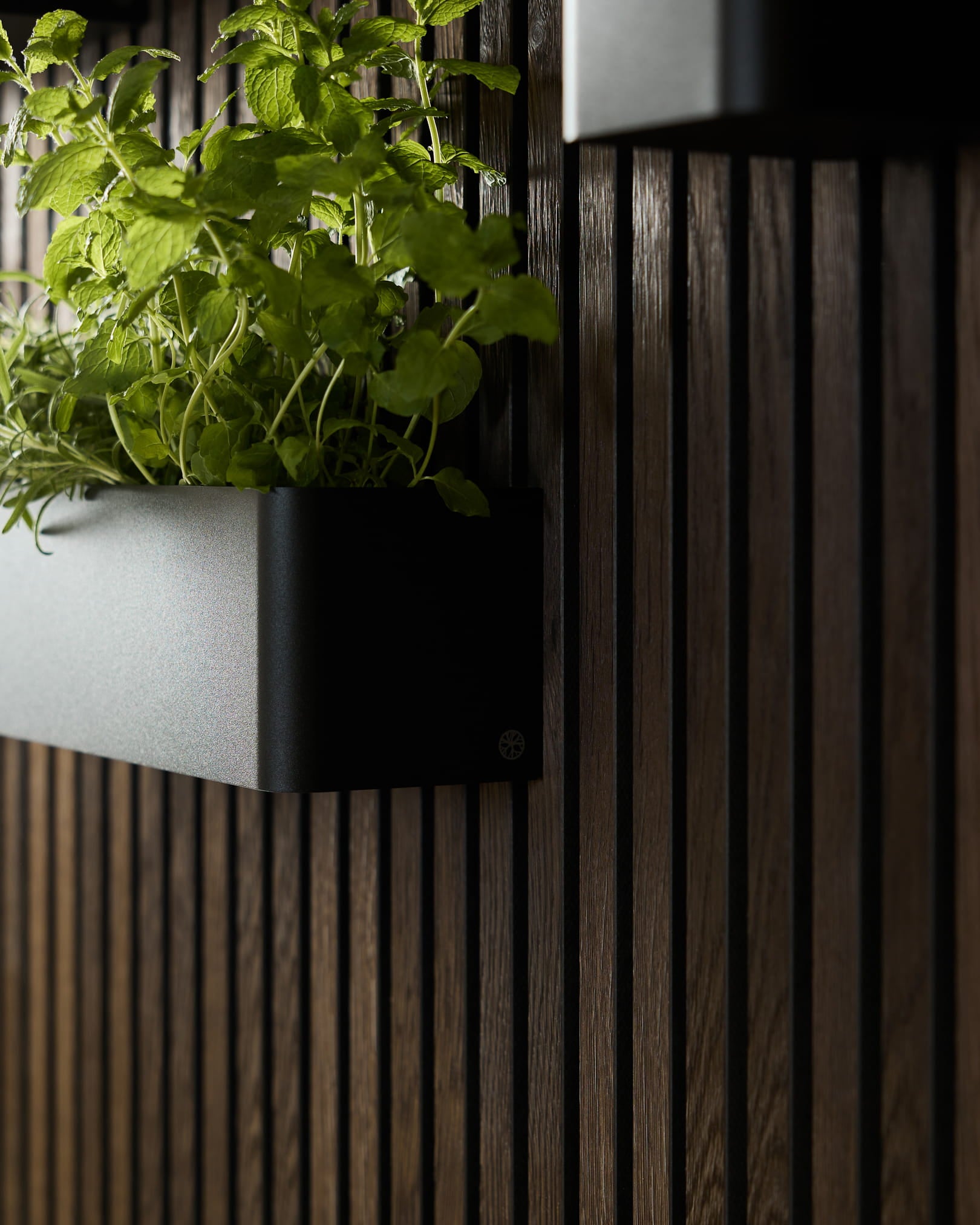 Black WoodUpp Norr Pflanzenbox (47,9 cm) aus Edelstahl steel, entwickelt für grüne Wände, montiert auf dunklen Akustik-Holzlamellenpaneelen.