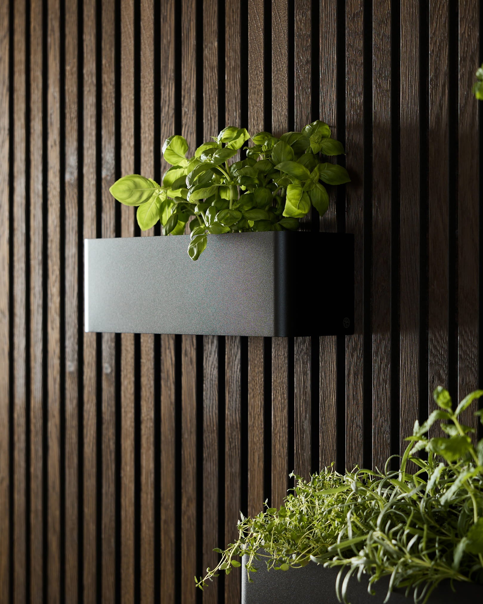 Eine black WoodUpp Norr Plant Box (35,9 cm) mit grünem Basilikum auf einem dunklen Akustik-Lamellenwandpaneel, daneben ein weiterer Pflanzkasten mit Blattgemüse.
